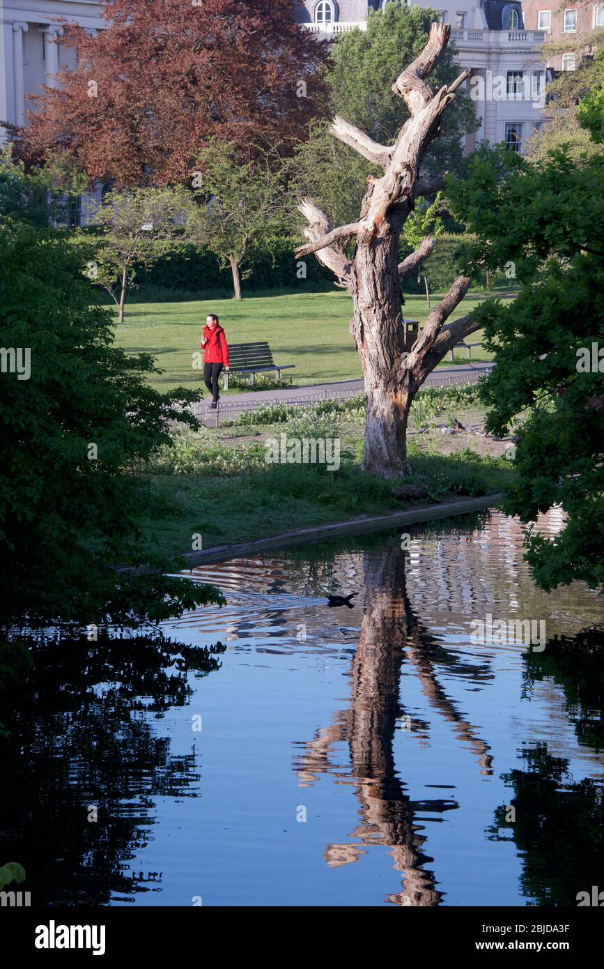 Canal Regents Park Londres Angleterre Banque D'Images