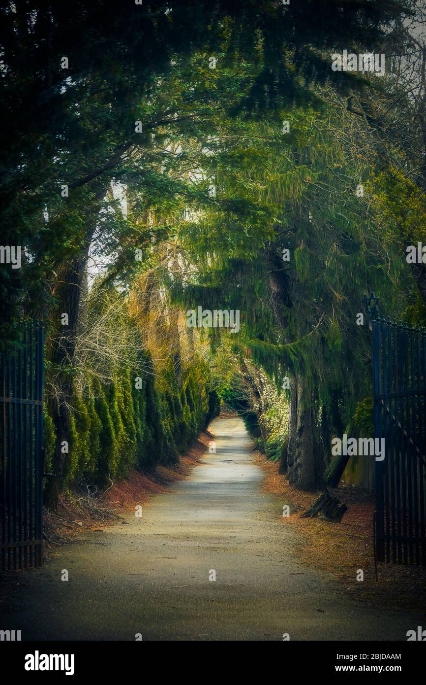 Vue floue et radiale artistique du long chemin dans les bois, au-delà de la porte ouverte. Banque D'Images