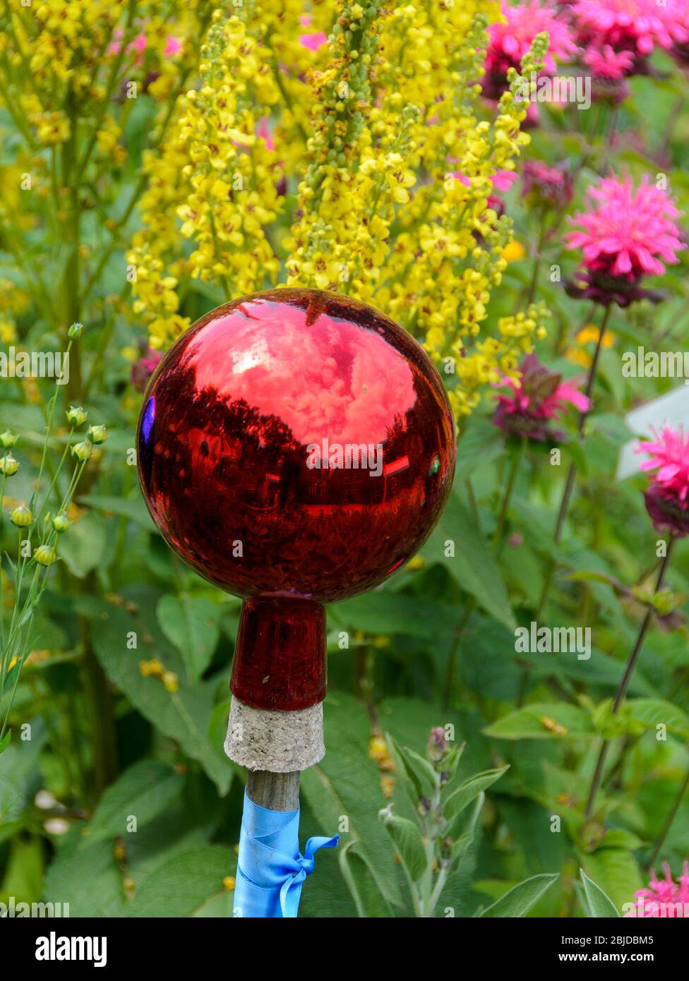 réflexions dans un bol rose brillant à miroir brillant rouge dans un jardin fleuri Banque D'Images