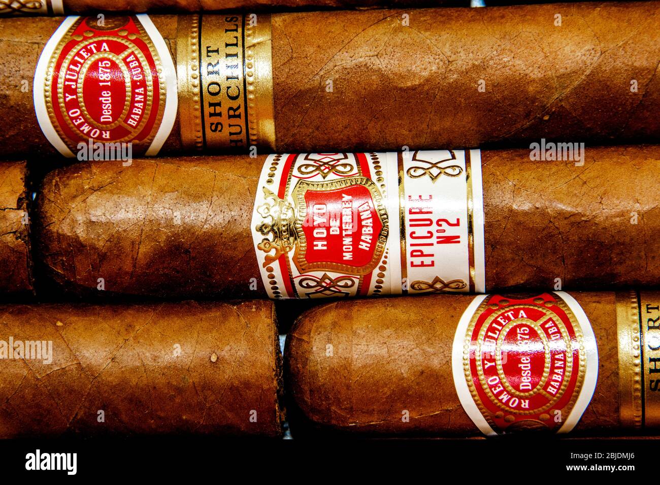 Cigares : cigares cubains. Roméo y Julieta et Hoyo de Monterrey. Produits du tabac traditionnels laminés à la main. Fond blanc. Banque D'Images