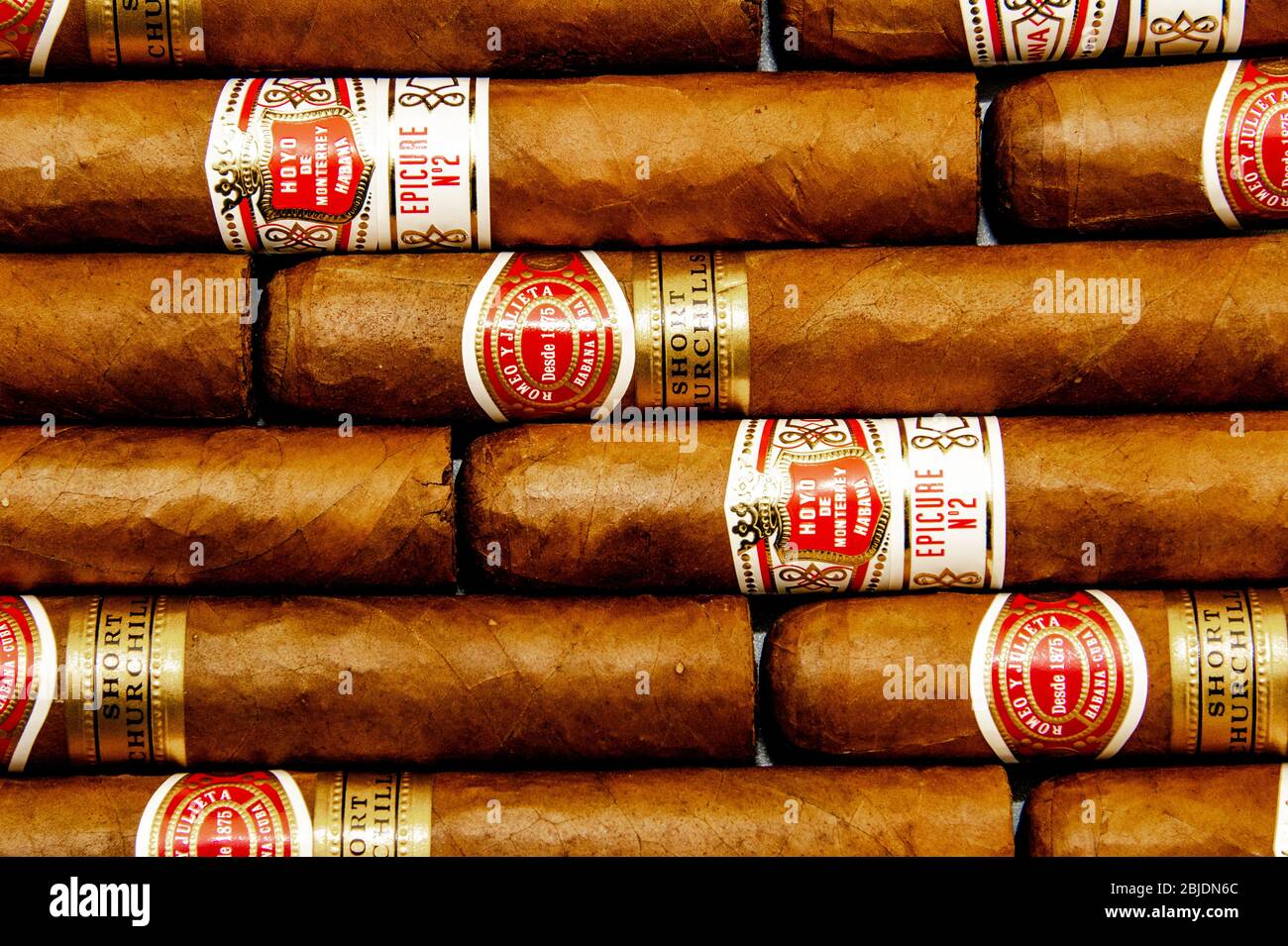 Cigares : cigares cubains. Roméo y Julieta et Hoyo de Monterrey. Produits du tabac traditionnels laminés à la main. Fond blanc. Banque D'Images