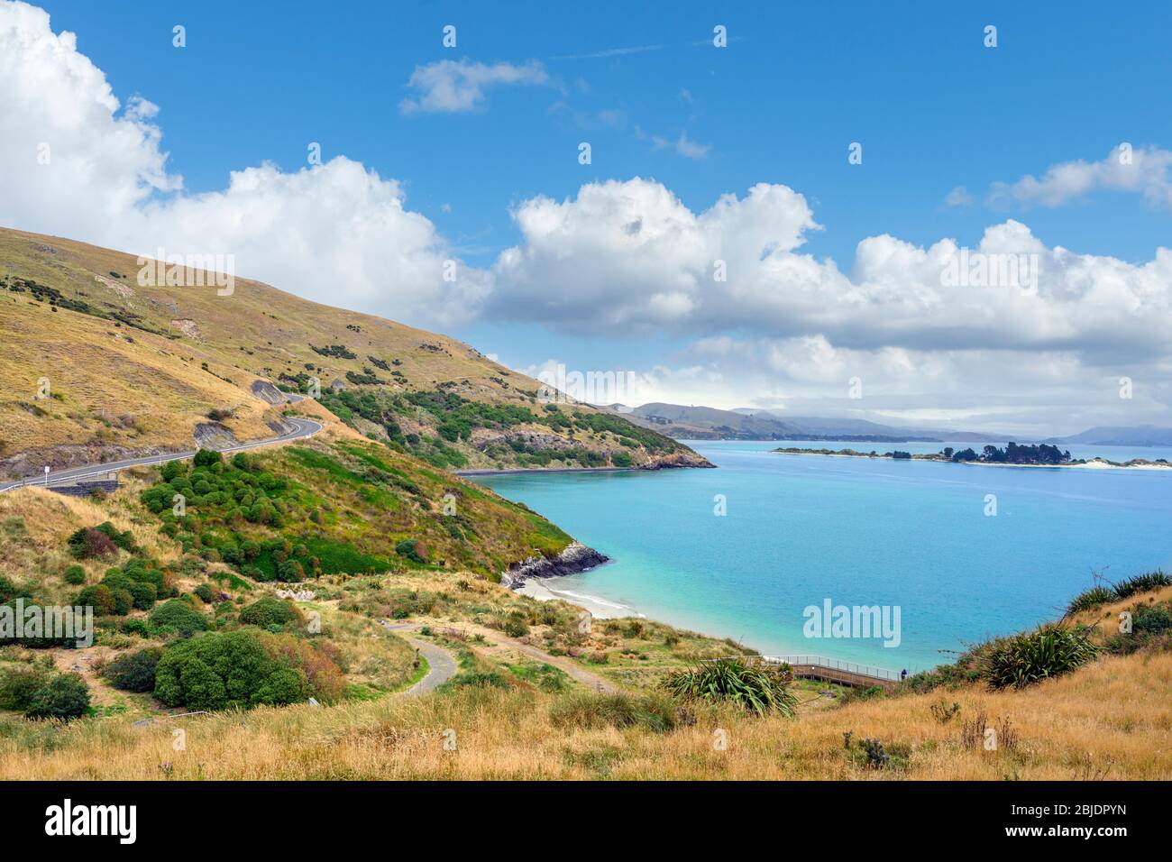 Plage à Taiaroa Head près du Royal Albatros Center, Dunedin, Otago, Nouvelle-Zélande Banque D'Images