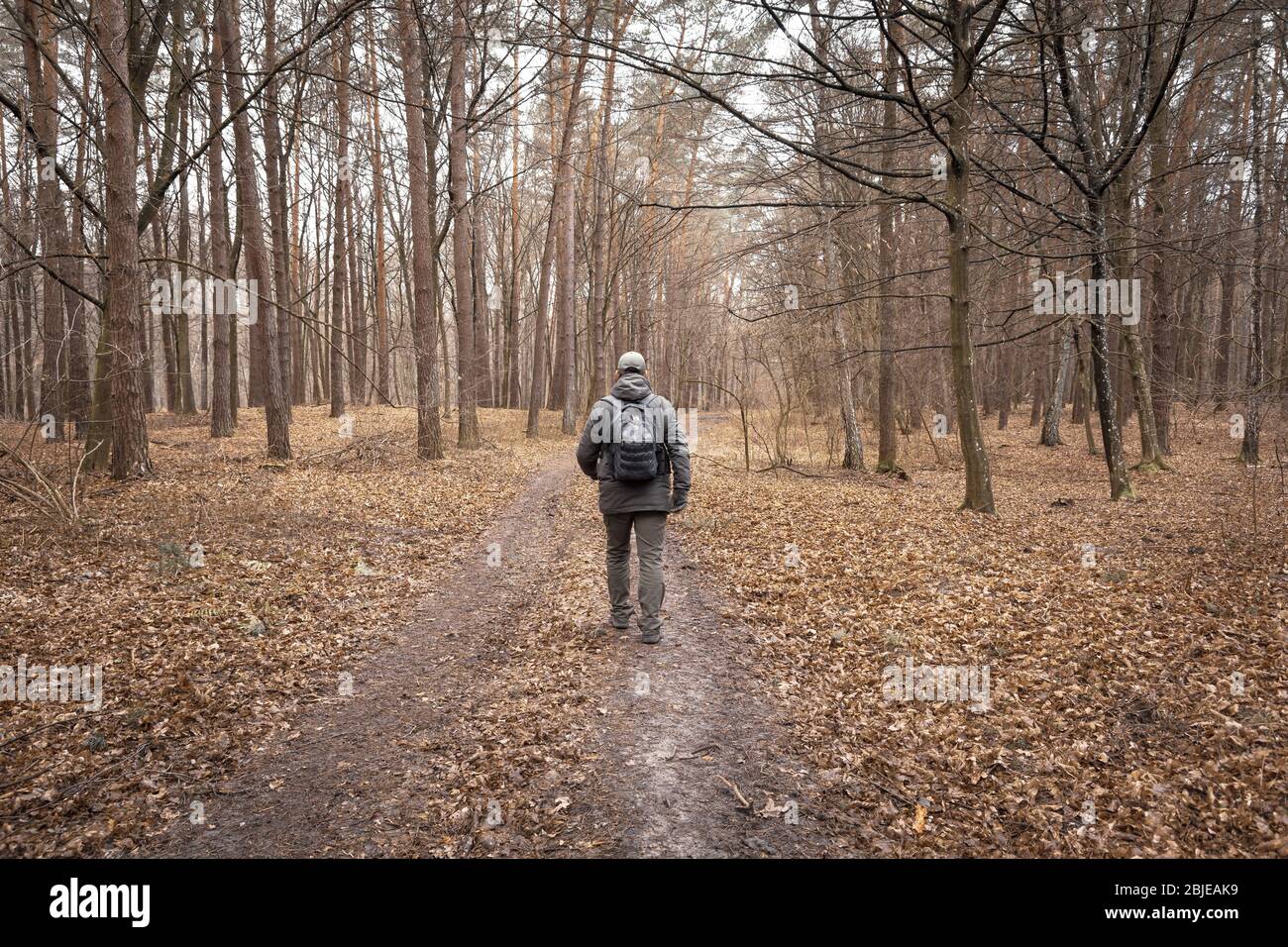 Un homme avec un sac à dos marchant dans la forêt d'automne Banque D'Images