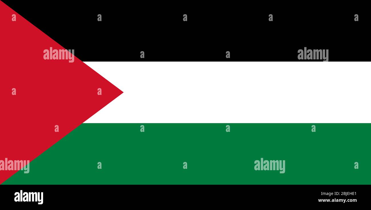 Grand drapeau plat officiel de Palestine horizontal Banque D'Images