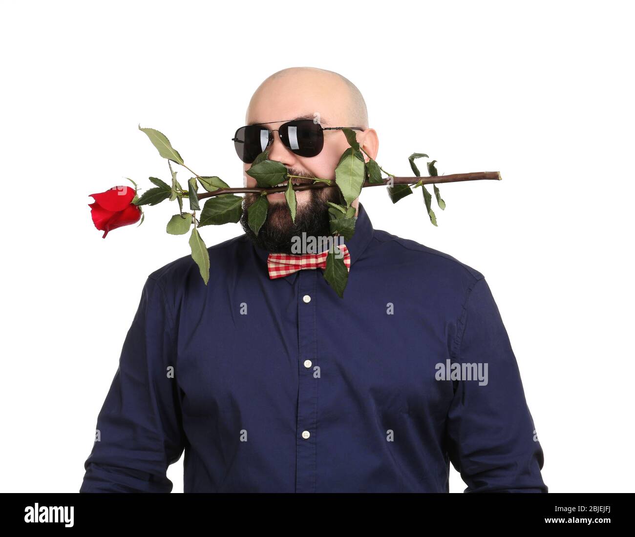 Homme de graisse barbu avec fleur en bouche sur fond blanc Banque D'Images