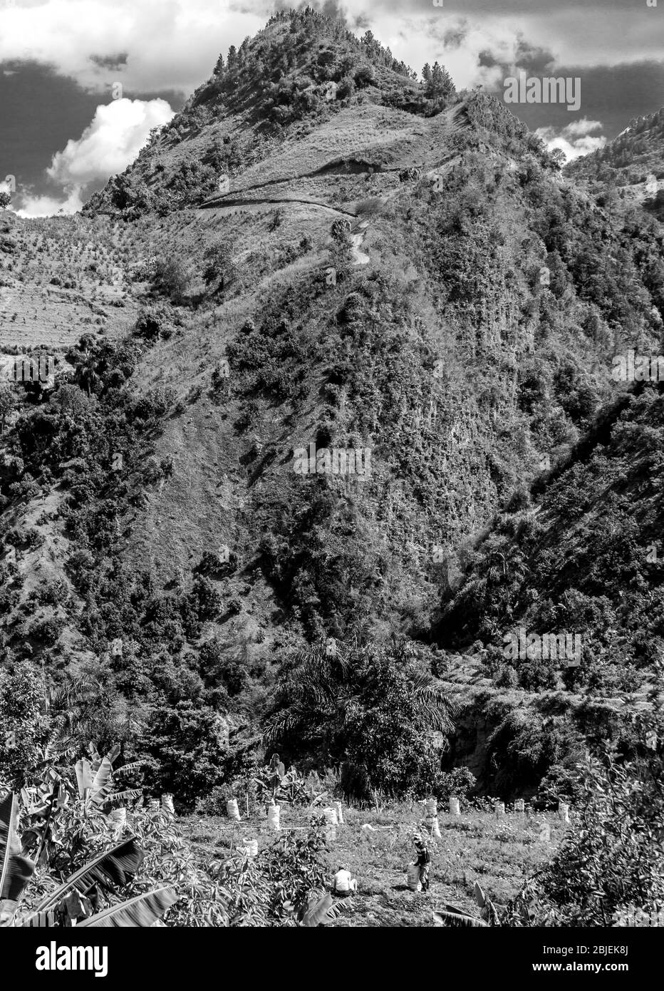 image dramatique de la campagne des caraïbes de fermes et de champs agricoles dans les montagnes de la république dominicaine. Banque D'Images