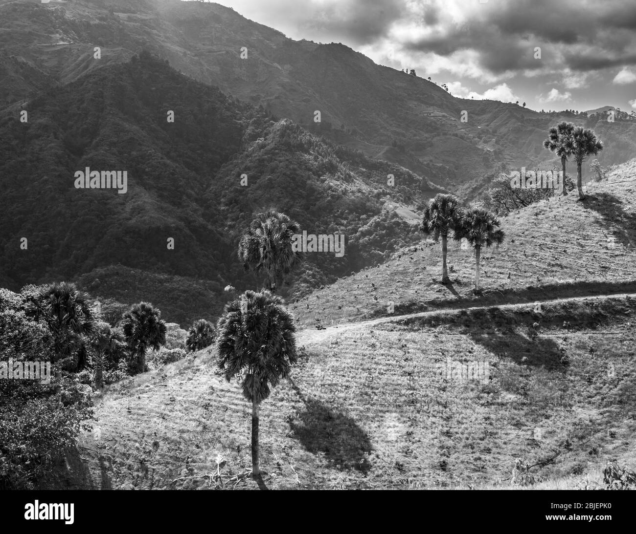 image dramatique de la campagne des caraïbes de fermes et de champs agricoles dans les montagnes de la république dominicaine. Banque D'Images