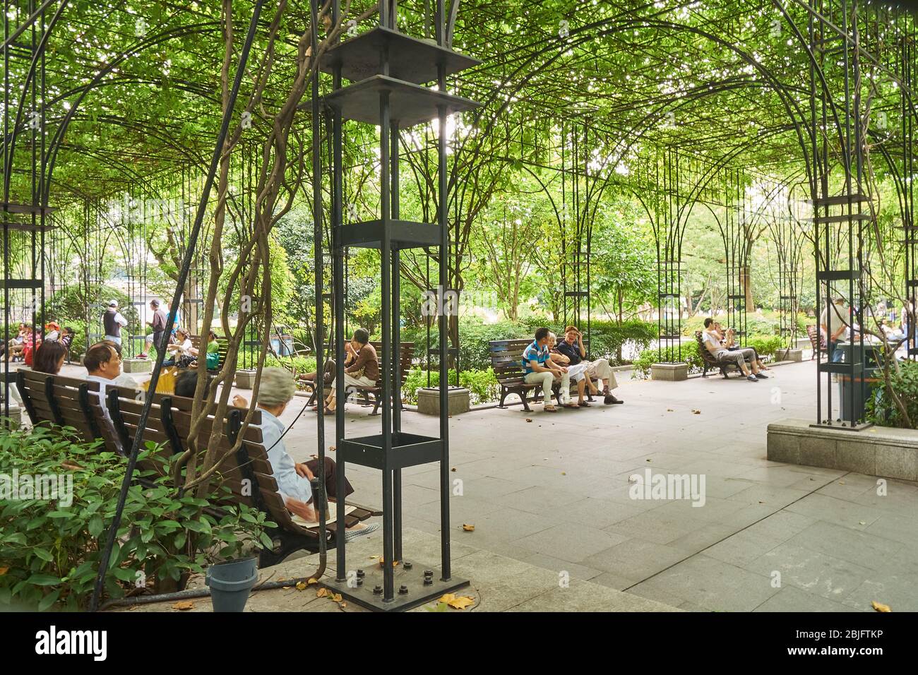 Les gens sous les treillis de jardin Banque D'Images