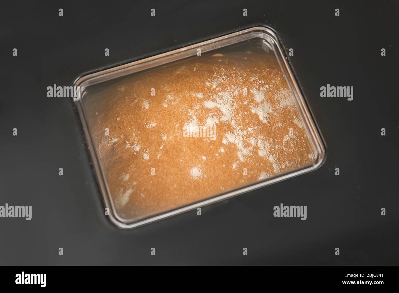 Pain frais croustillant dans la machine à pain, à proximité Banque D'Images