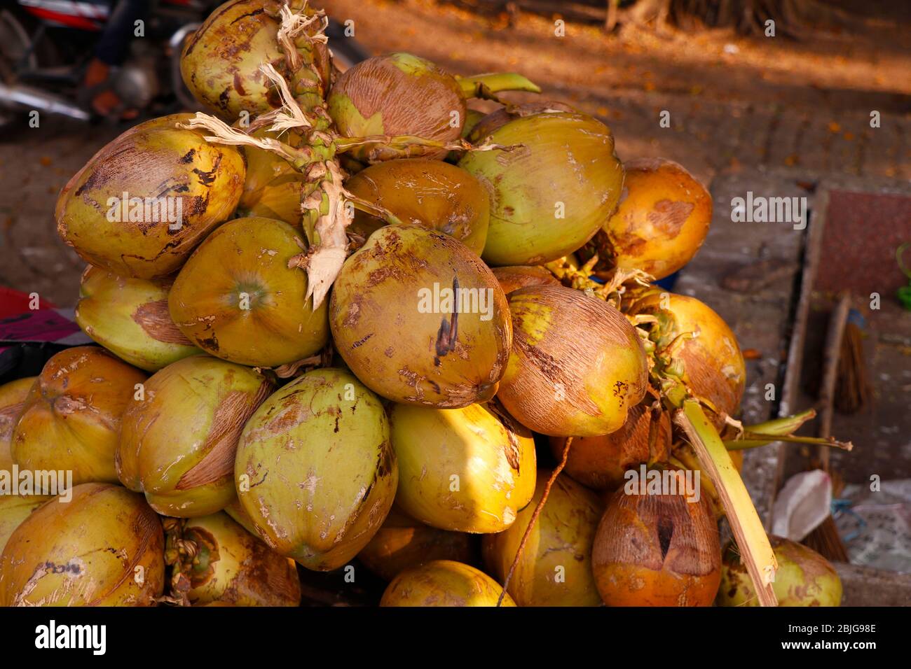 Groupe de coconuts tendre (Cocos nucifera) à vendre dans un magasin de bord de route à Kerala Banque D'Images