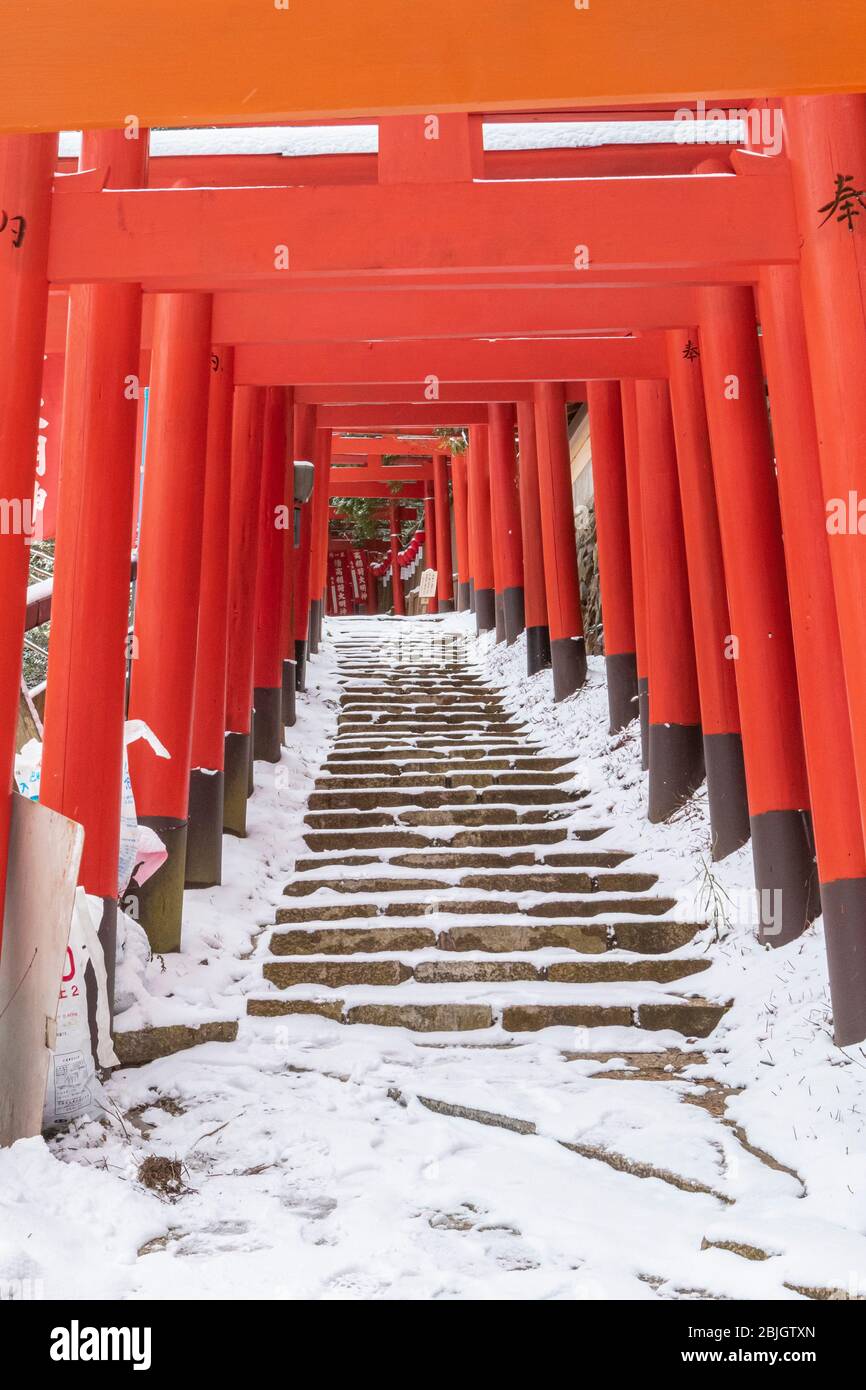 Porte torii à Koyasan, torri est une porte japonaise traditionnelle le plus souvent trouvée à l'entrée ou à l'intérieur d'un sanctuaire de Shinto. Banque D'Images