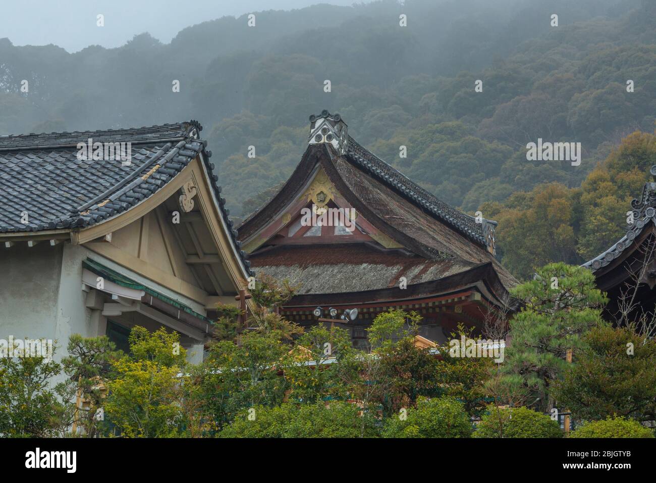 Temple de Kiyomizu au printemps, fondé au début de la période Heian, en l'an 778. Il ne s'agit pas d'un seul clou utilisé dans toute la structure . Banque D'Images