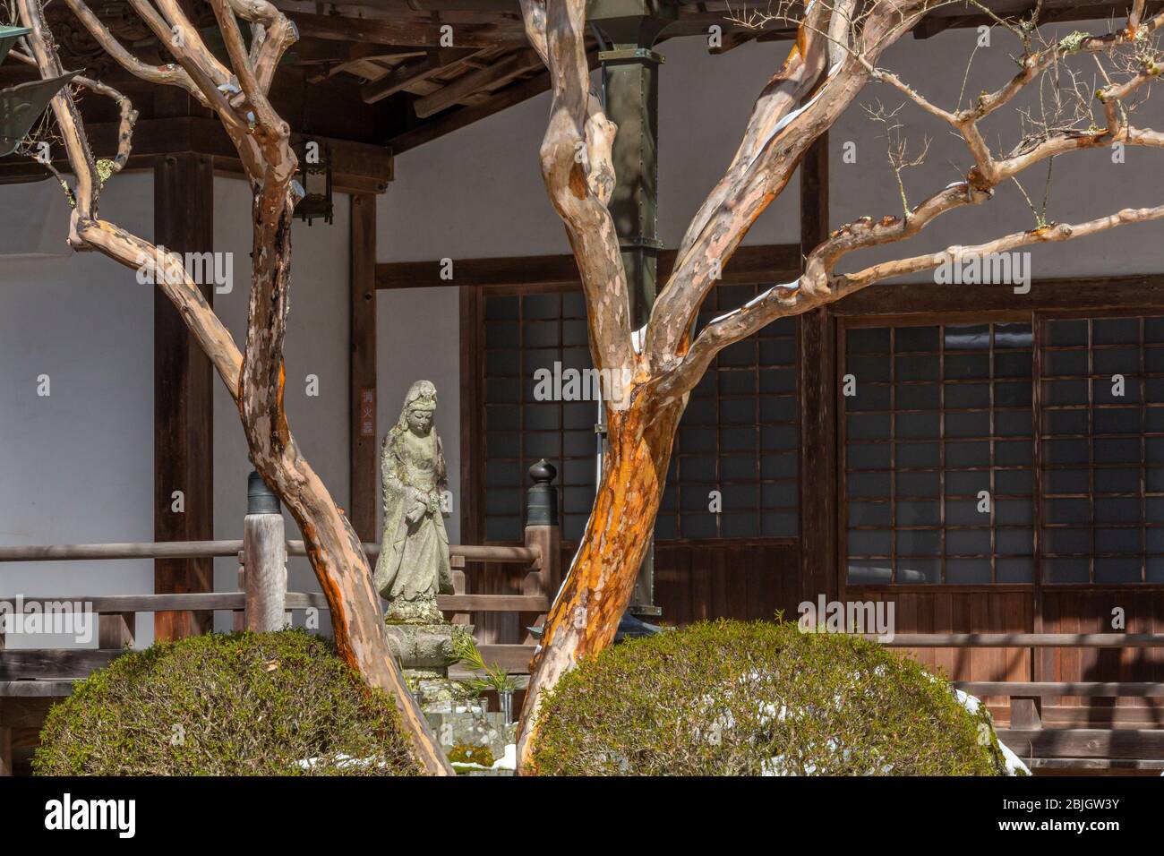 Arbres couverts de neige, devant les murs du temple, Koyasan, Japon Banque D'Images