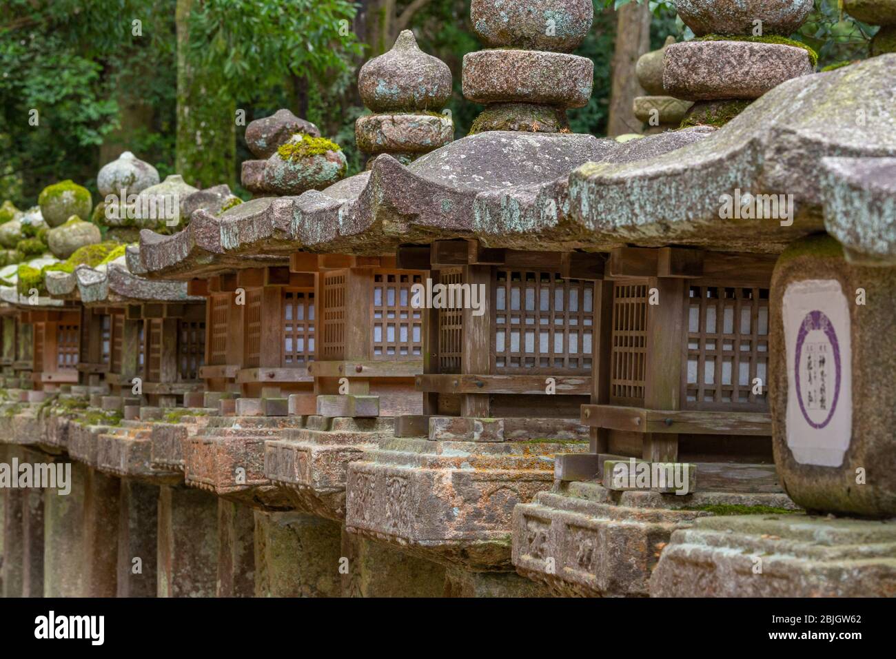 Moss a couvert des lanternes rocheuses au sanctuaire de Kasuga Taisha, Nara Banque D'Images