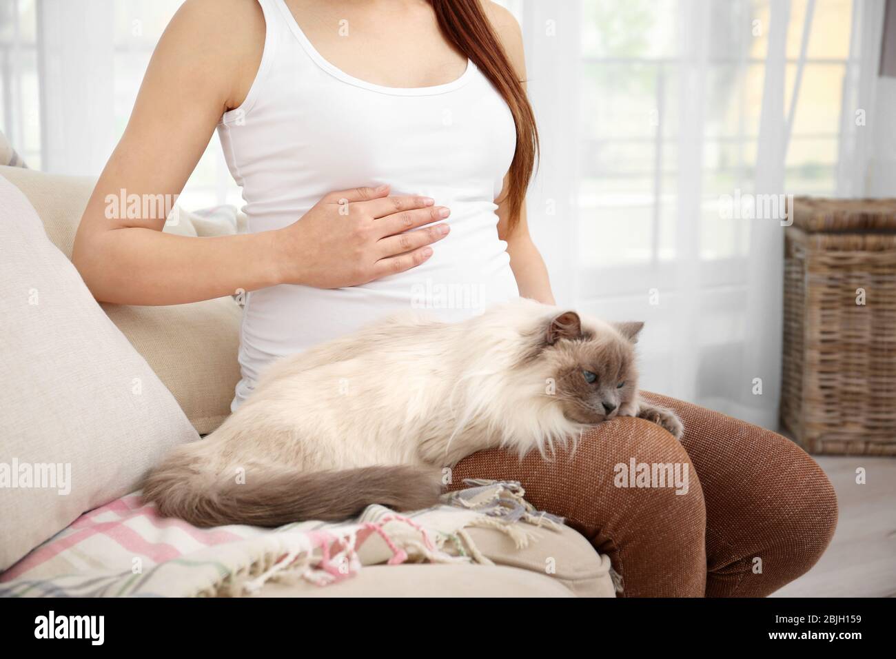 Jeune femme enceinte avec chat mignon assis sur un canapé dans la salle de  lumière Photo Stock - Alamy