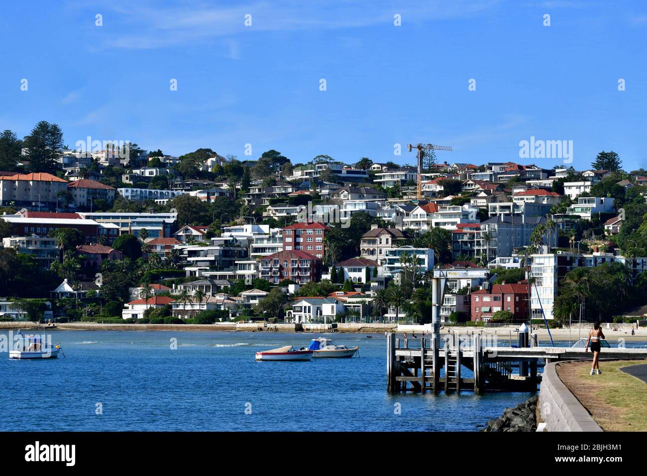 Vue sur la baie Rose dans le port de Sydney, Australie Banque D'Images