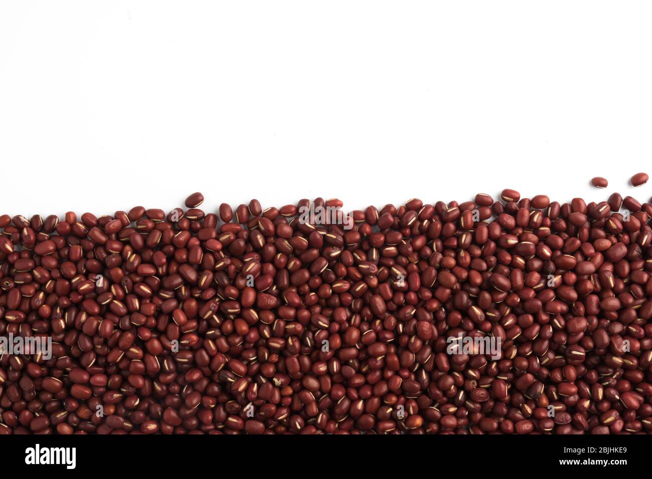 haricots rouges sur fond blanc Banque D'Images