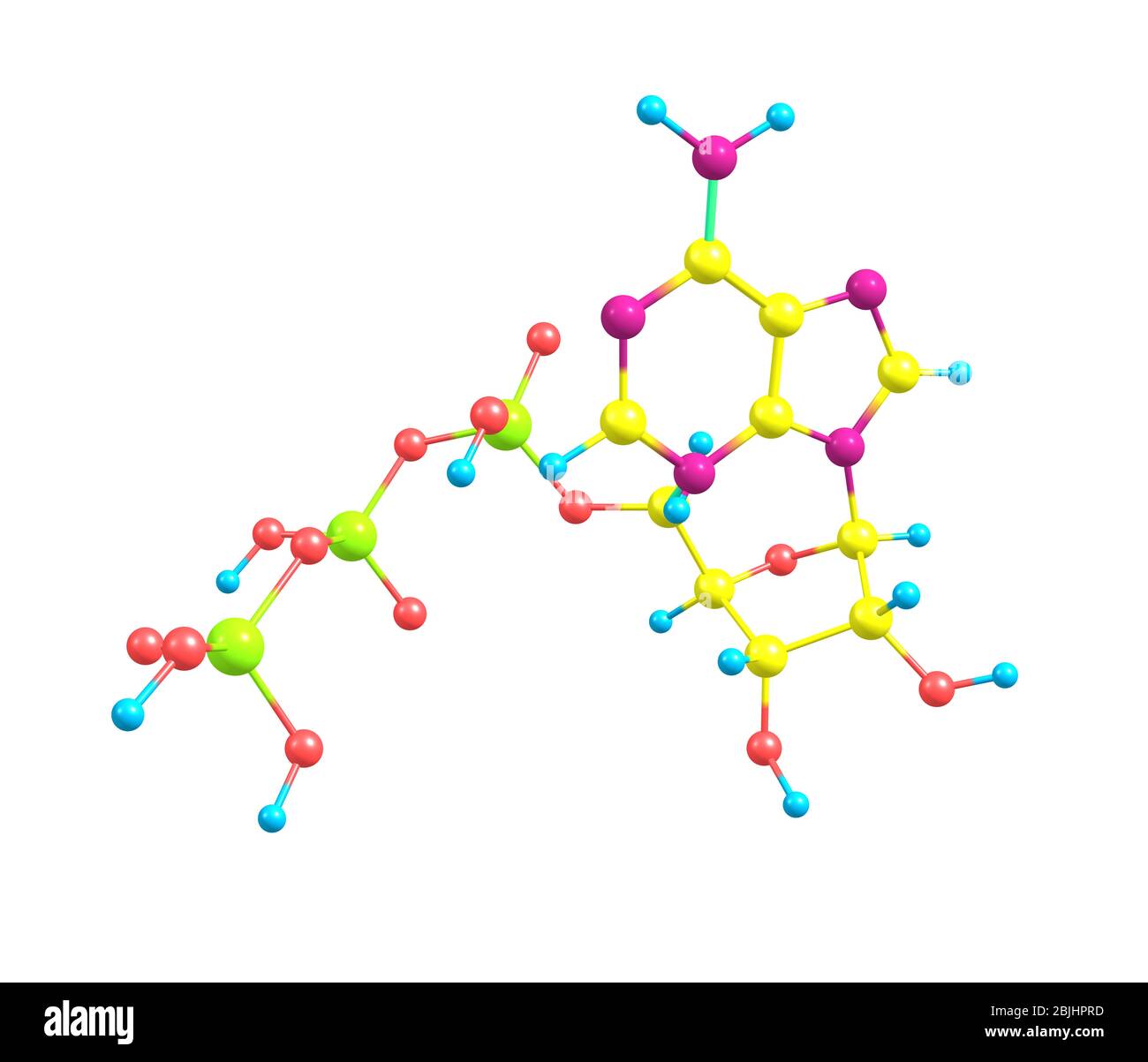 L'adénosine triphosphate (ATP) est un triphosphate nucléosidique utilisé dans les cellules comme coenzyme Banque D'Images