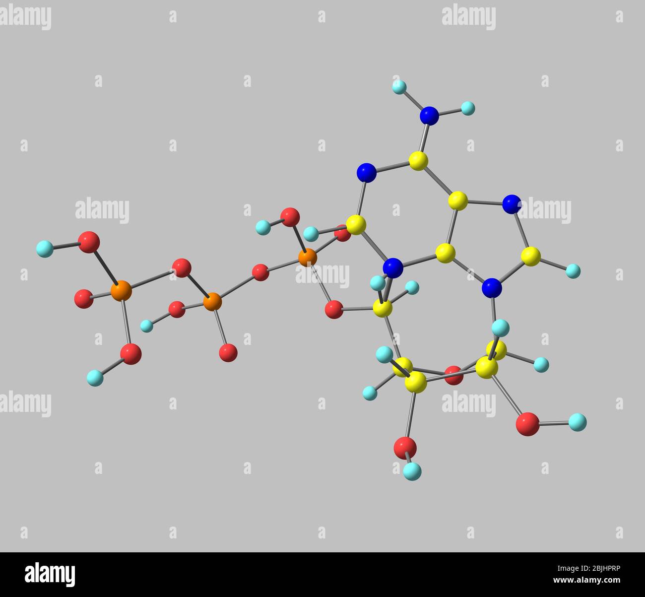 L'adénosine triphosphate (ATP) est un triphosphate nucléosidique utilisé dans les cellules comme coenzyme Banque D'Images