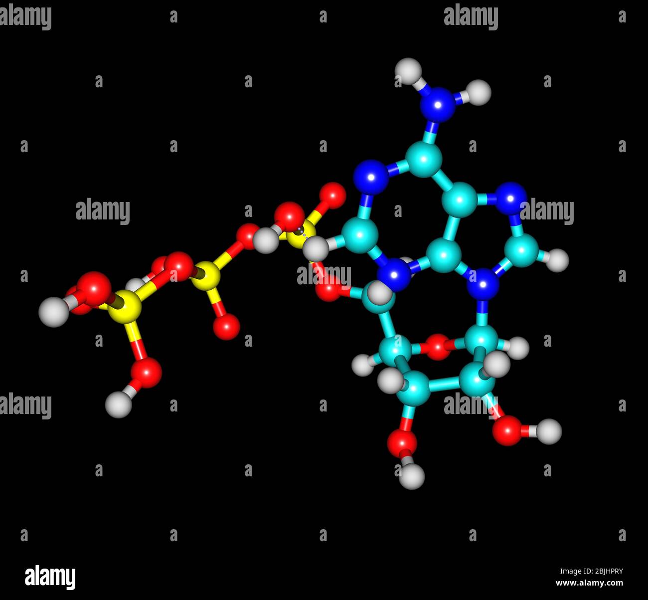 L'adénosine triphosphate (ATP) est un triphosphate nucléosidique utilisé dans les cellules comme coenzyme Banque D'Images
