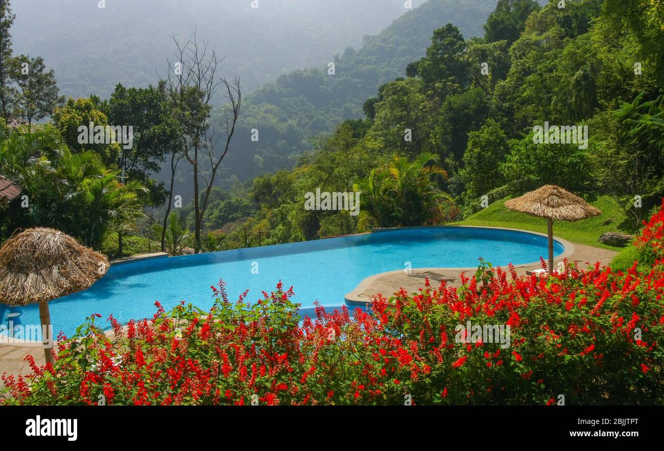 Une piscine d'un complexe entouré de collines boisées à Coonoor (Tamil Nadu, Inde) Banque D'Images