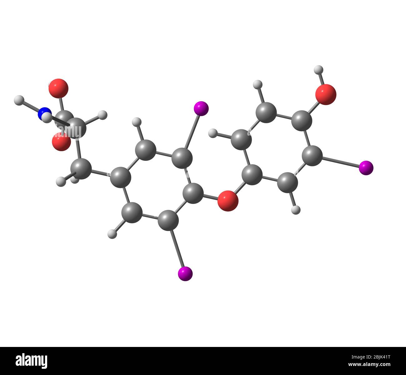 La triiodothyronine (T3) est une hormone thyroïdienne. Il affecte presque tous les processus physiologiques dans le corps, y compris la croissance et le développement, le métabolisme, b Banque D'Images