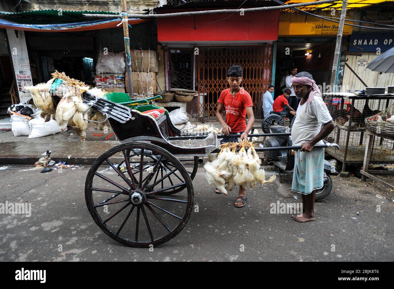 17.07.2011, Kolkata (Calcutta), Bengale-Ouest, Inde, Asie - un arrache-pousse maintient son pousse-pousse en bois sur lequel des poulets vivants sont chargés. Banque D'Images