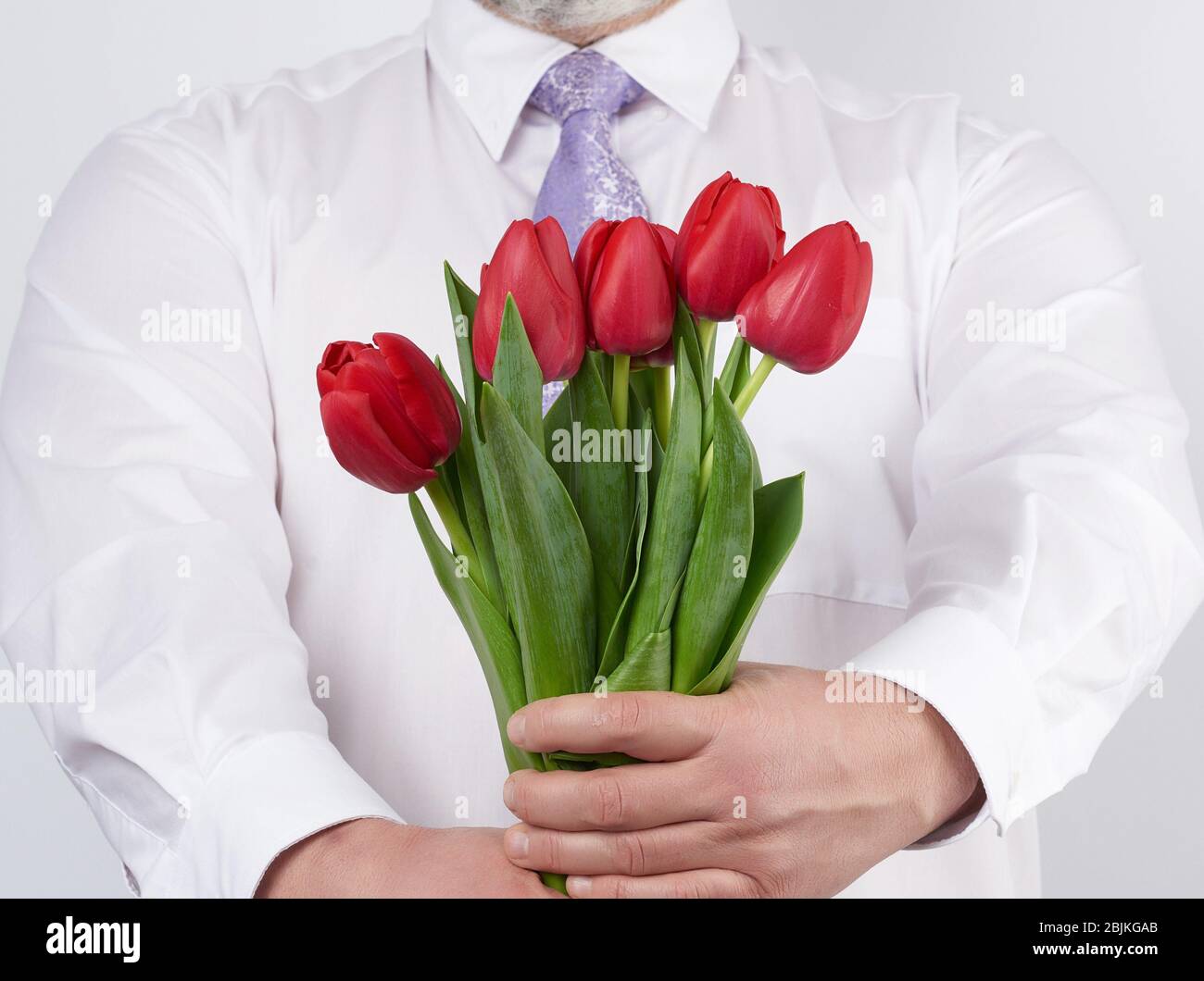 homme adulte dans une chemise blanche et une cravate lilas tenant un  bouquet de tulipes rouges avec des feuilles vertes sur fond blanc, concept  pour joyeux anniversaire Photo Stock - Alamy
