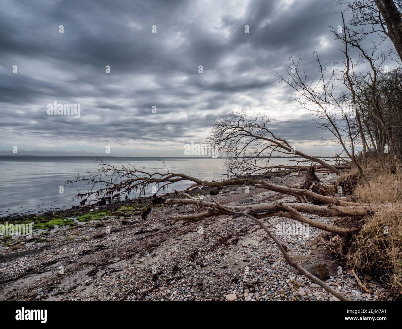 Côte rurale sur l'île ALS près de Fynshav au Danemark Banque D'Images