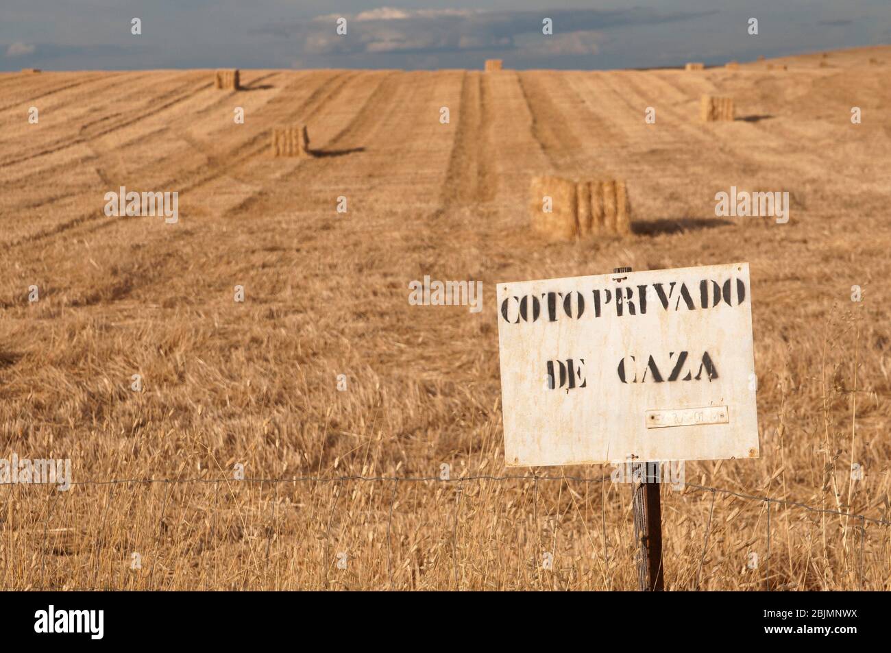 Coto privado de caza Banque de photographies et d’images à haute résolution Alamy Coto privado de caza Banque de photographies et d’images à haute résolution Alamy