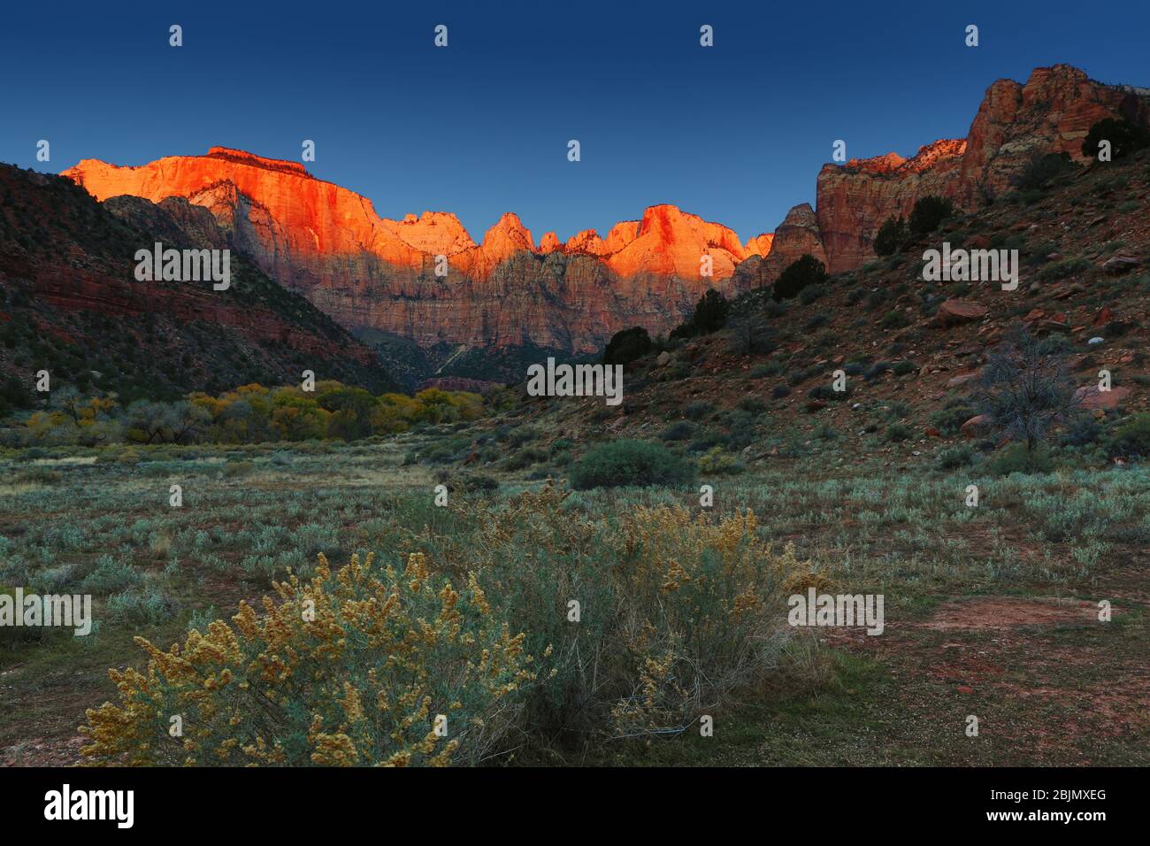 Lever du soleil sur les tours de la Vierge, Zion National Park, Utah, USA Banque D'Images