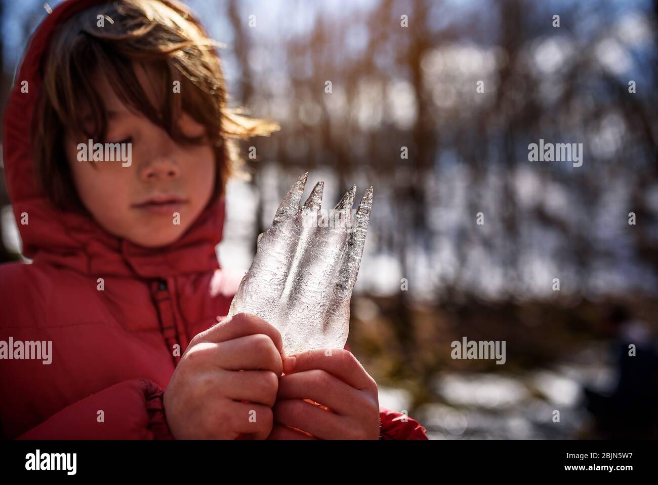 Garçon debout dans la forêt, tenant un morceau de glace gelée, États-Unis Banque D'Images
