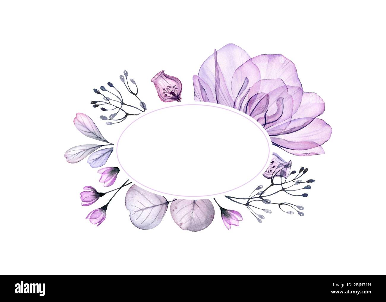 Bannière fleurie aquarelle. Grande rose violette et feuilles en cercle. Cadre ovale avec emplacement pour le texte. Arrière-plan abstrait pour le logo. Tiré à la main isolé Banque D'Images