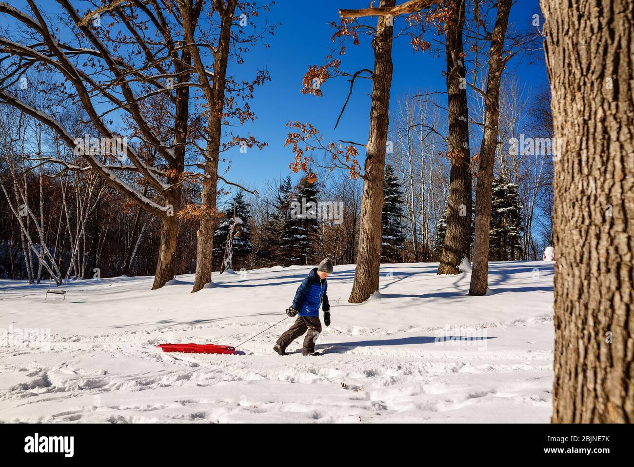 Garçon tirant un traîneau à travers la neige, États-Unis Banque D'Images