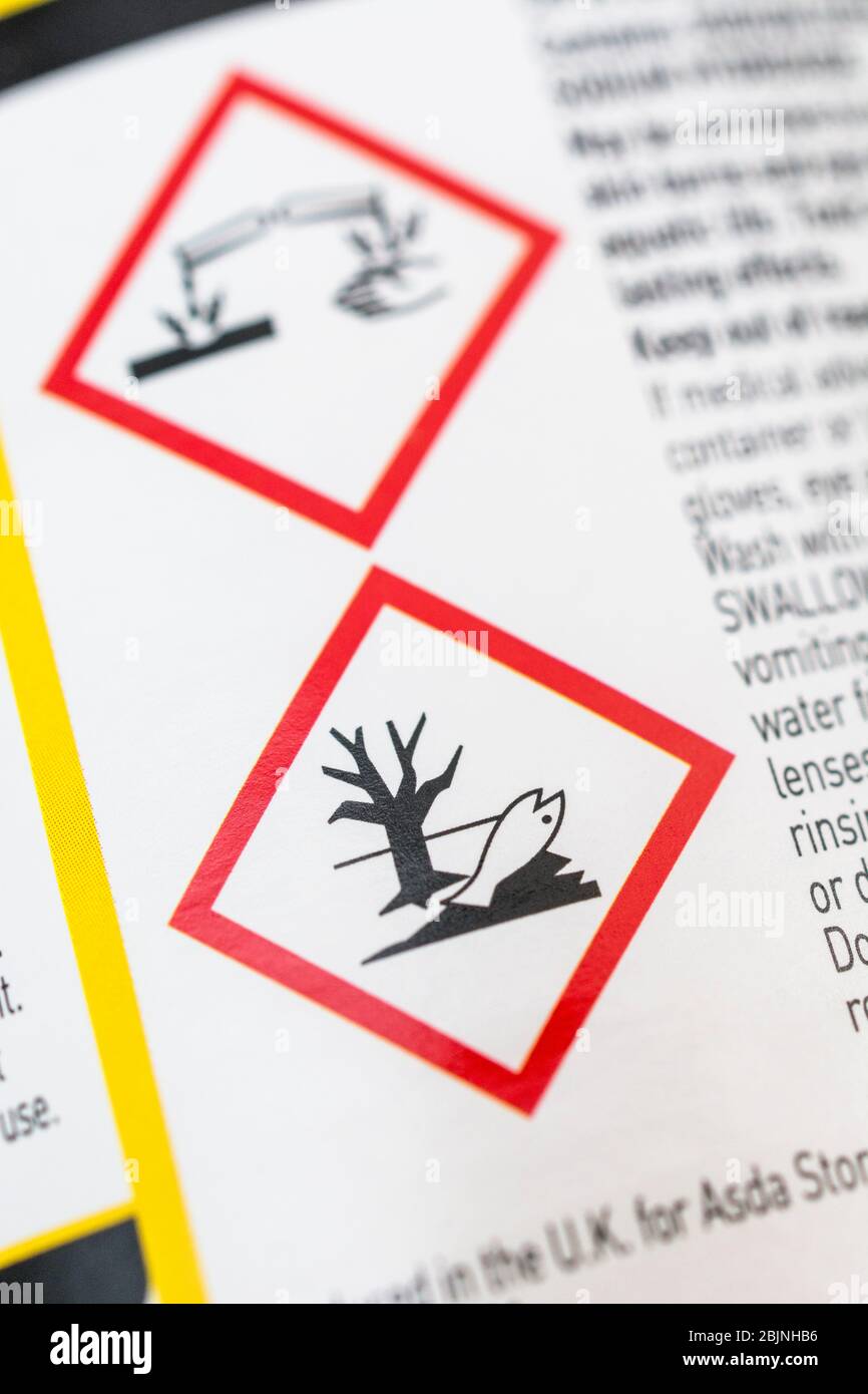 Eau de Javel ASDA avec étiquette d'avertissement GHS pour icône et pictogramme « produits chimiques toxiques pour la faune aquatique » pour les « matériaux causant des brûlures de la peau / corrosion du métal ». Banque D'Images
