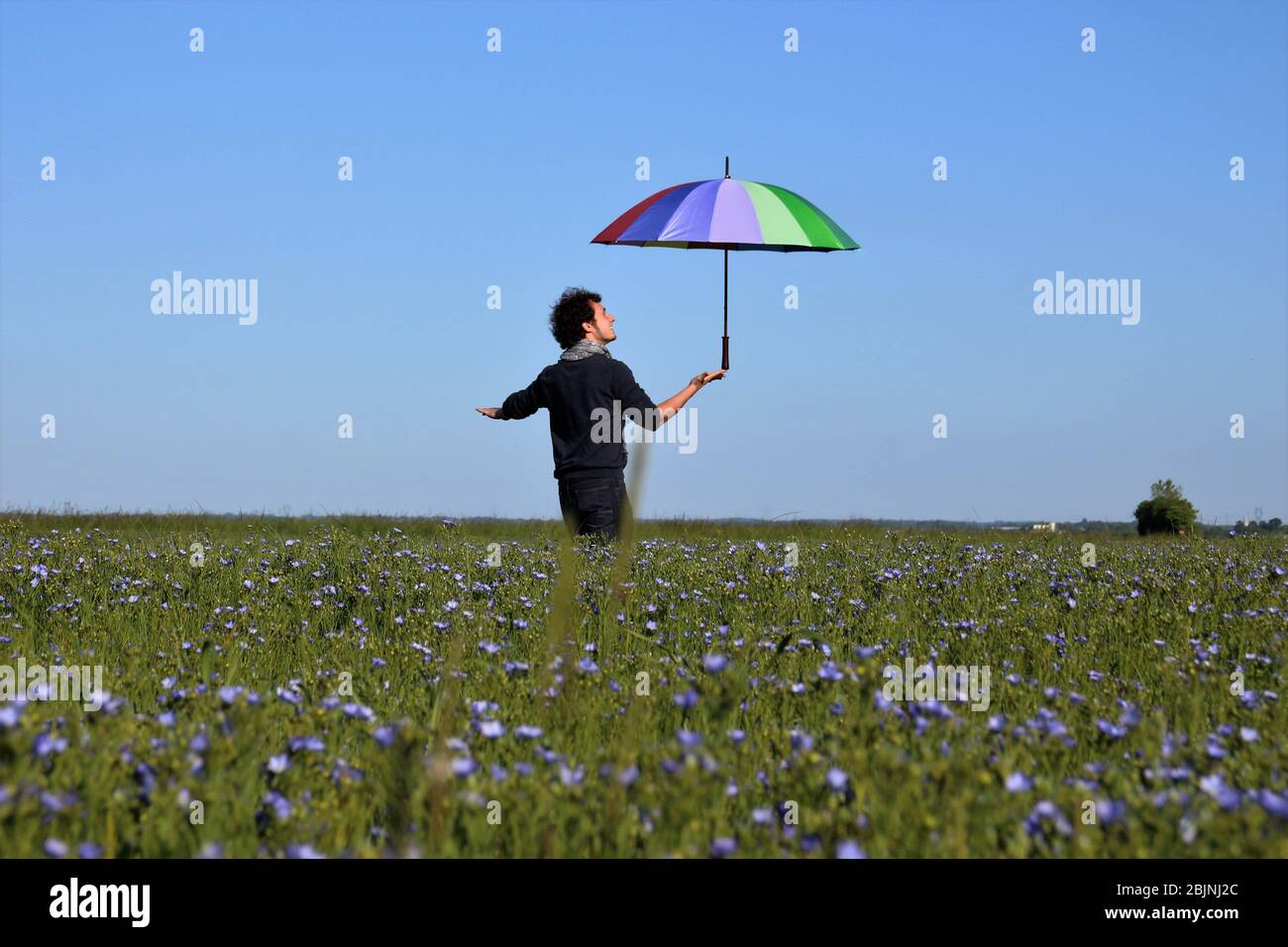 Homme debout dans un champ de lin tenant un parapluie multicolore, France Banque D'Images