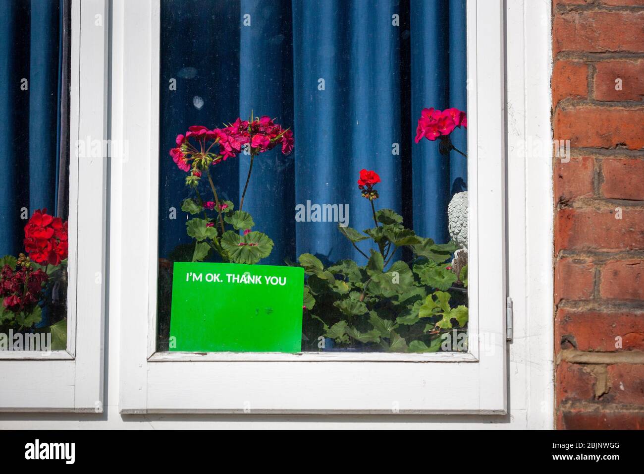 Je suis ok, merci signe et fleurs affichées dans la fenêtre avant d'une maison pendant la pandémie COVID-19 2020. Londres, Angleterre, Royaume-Uni Banque D'Images