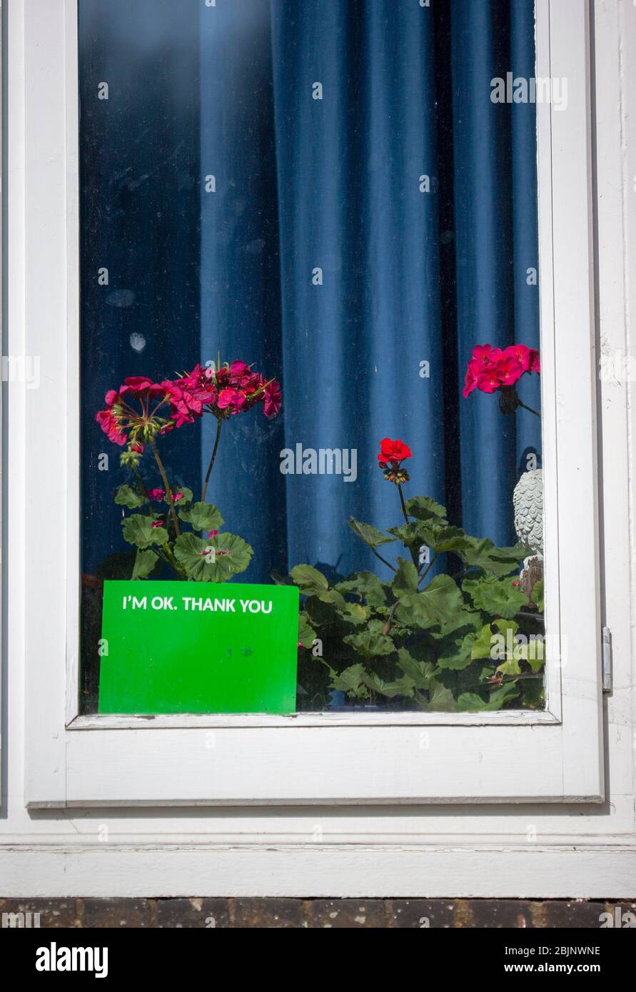 Je suis ok, merci signe et fleurs affichées dans la fenêtre avant d'une maison pendant la pandémie COVID-19 2020. Londres, Angleterre, Royaume-Uni Banque D'Images