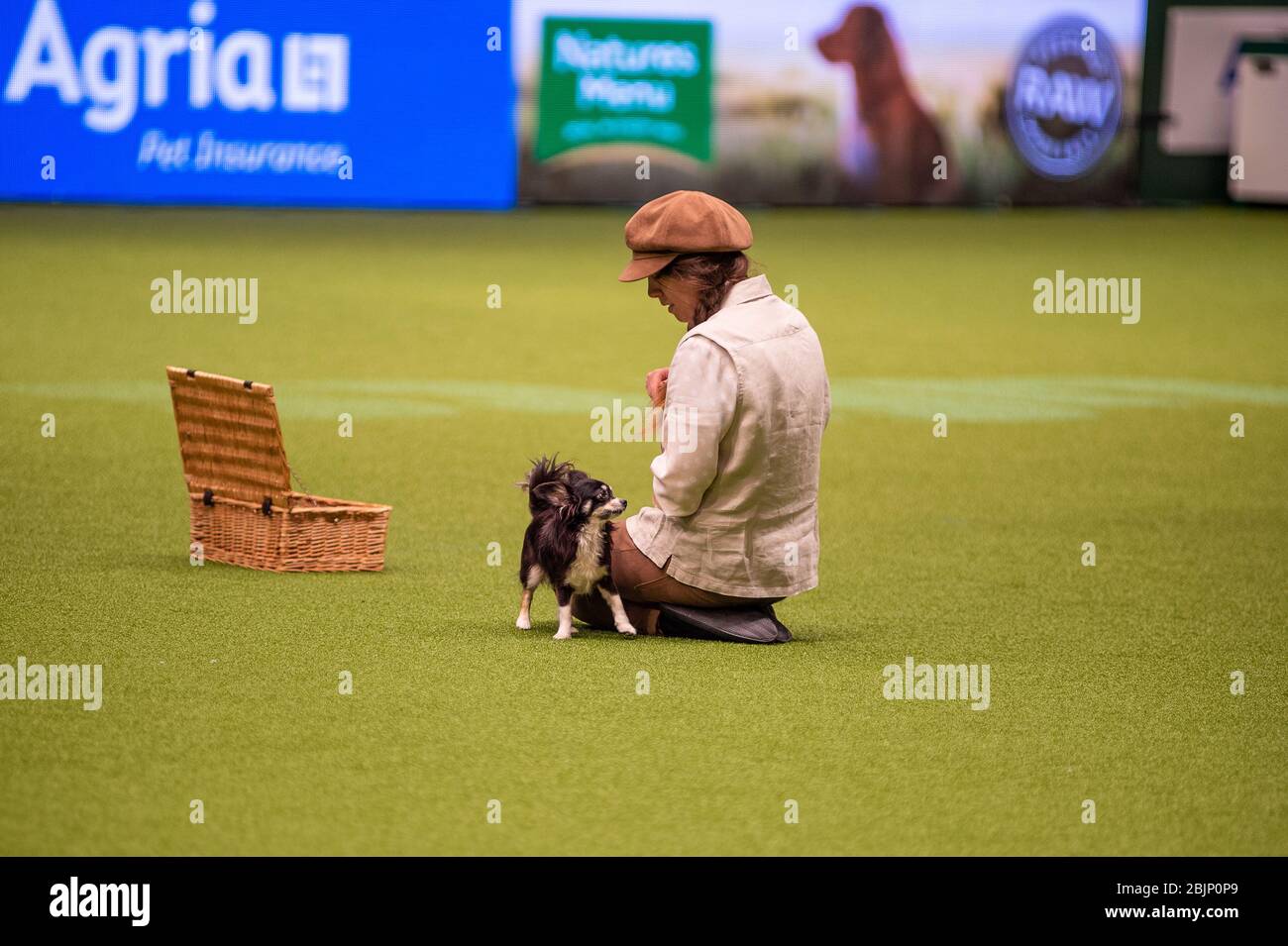 CRUFTS: Heelwork to Music Competition le 5 mars 2020 Banque D'Images