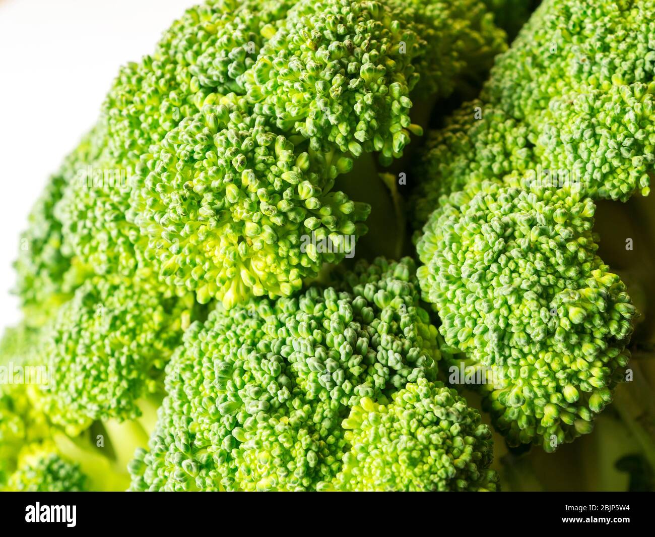 Gros plan de brocoli frais de Calabre sur fond blanc Banque D'Images