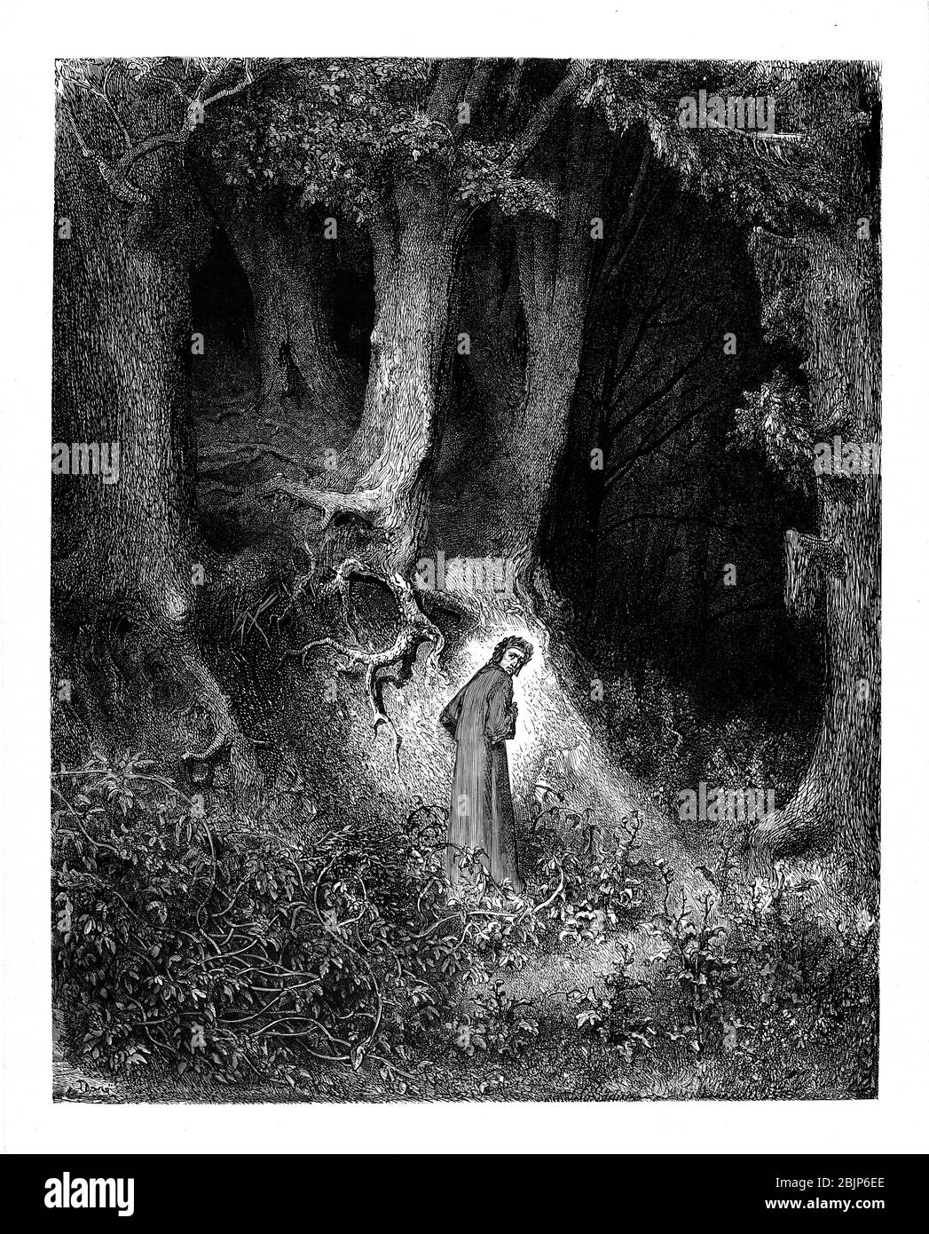 La forêt sombre de la Divine Comédie du poète italien Dante Alighieri du XIVe siècle. 1860 œuvres d'art, de l'artiste français Gustave Dore et gravées par Stéphane Pannemaker, de 'la Vision de l'Enfer' (1868), traduction anglaise de Cary de l'Inferno. Dante a écrit son poème épique "Divina Commedia" (la Divine Comedy) entre 1308 et sa mort en 1321. Composé de 14 233 lignes, et divisé en trois parties (Inferno, Purgatorio et Paradiso), il est considéré comme la plus grande œuvre littéraire en langue italienne et un chef-d'œuvre mondial. C'est une étude complète de théologie médiévale, de littérature et de toi Banque D'Images