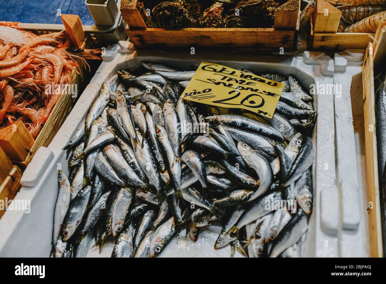 Istanbul Turquie poisson fraîchement pêché sur le comptoir Banque D'Images