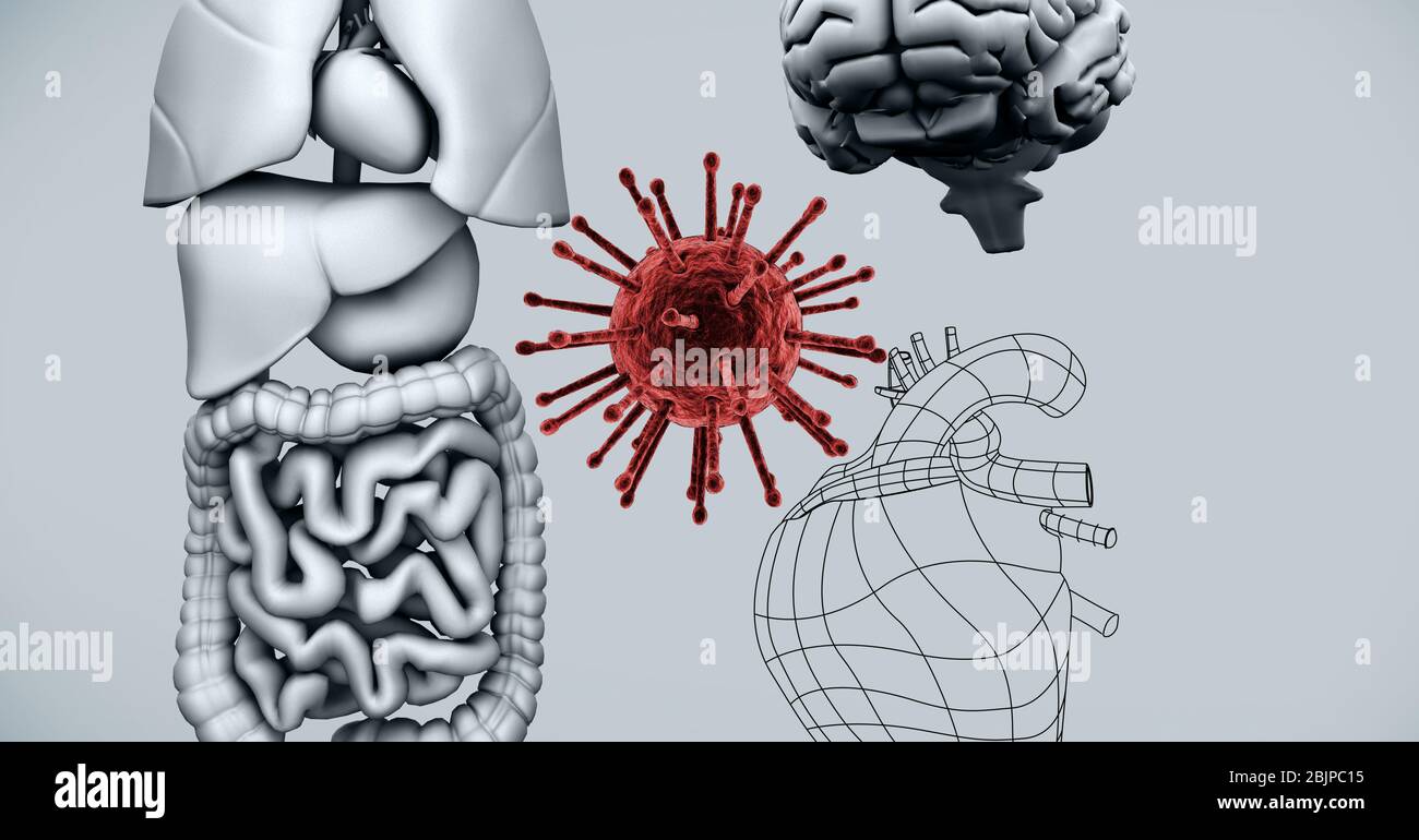Illustration numérique d'un modèle tridimensionnel d'organes humains et de cerveau humain avec macro Coronavirus Covid-19 c Banque D'Images