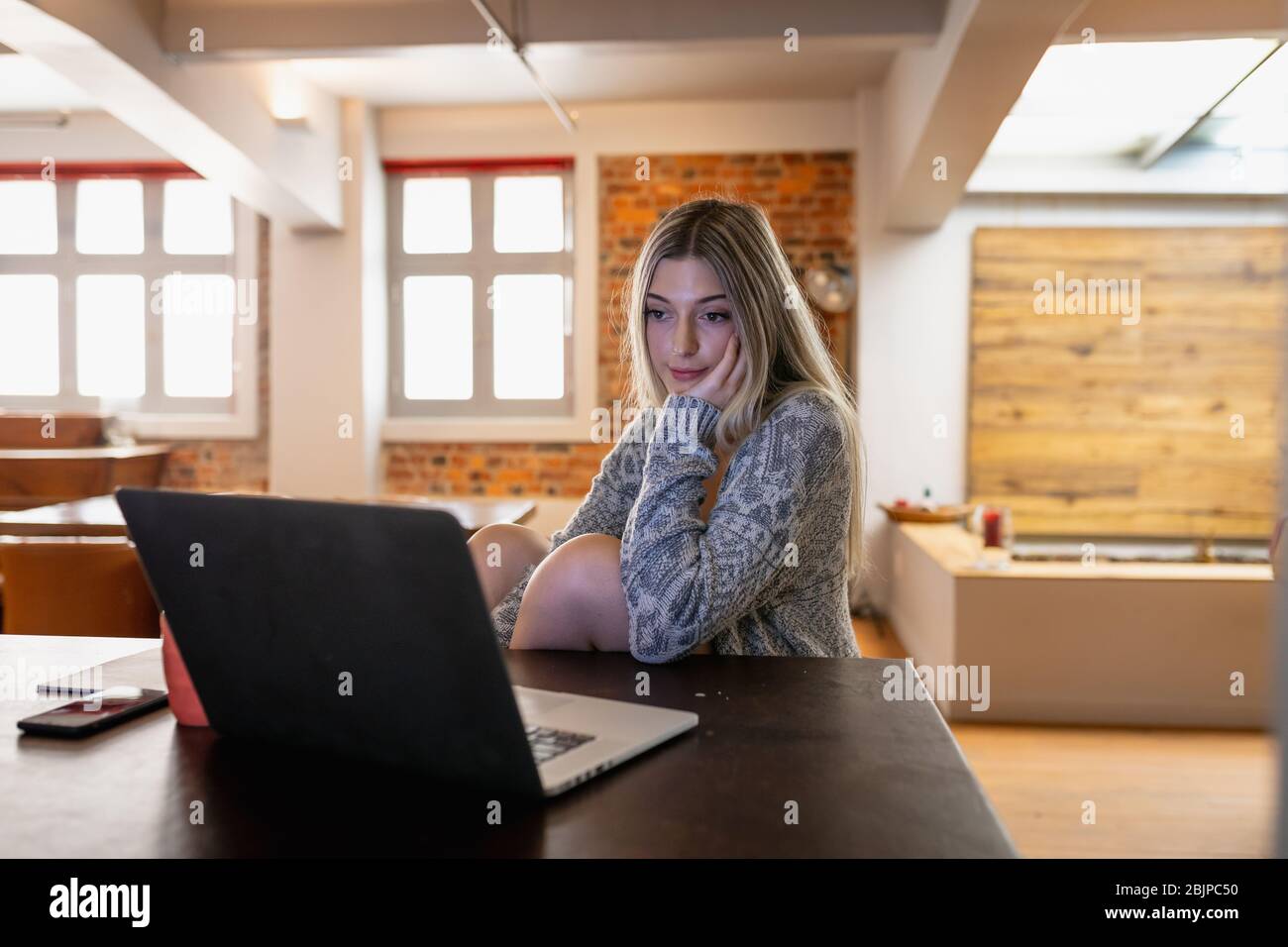 Jeune femme à l'aide d'un ordinateur portable à la maison Banque D'Images