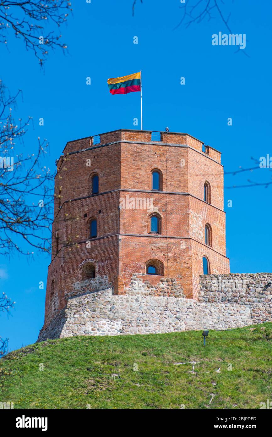 Tour ou château de Gediminus, le reste du château médiéval supérieur de Vilnius, Lituanie avec drapeau lituanien, vertical Banque D'Images