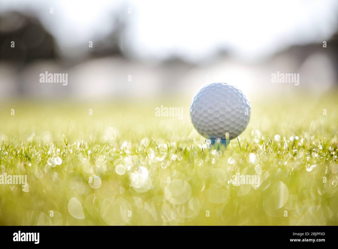 Club de Golf et balle sur tee en face de driver Banque D'Images
