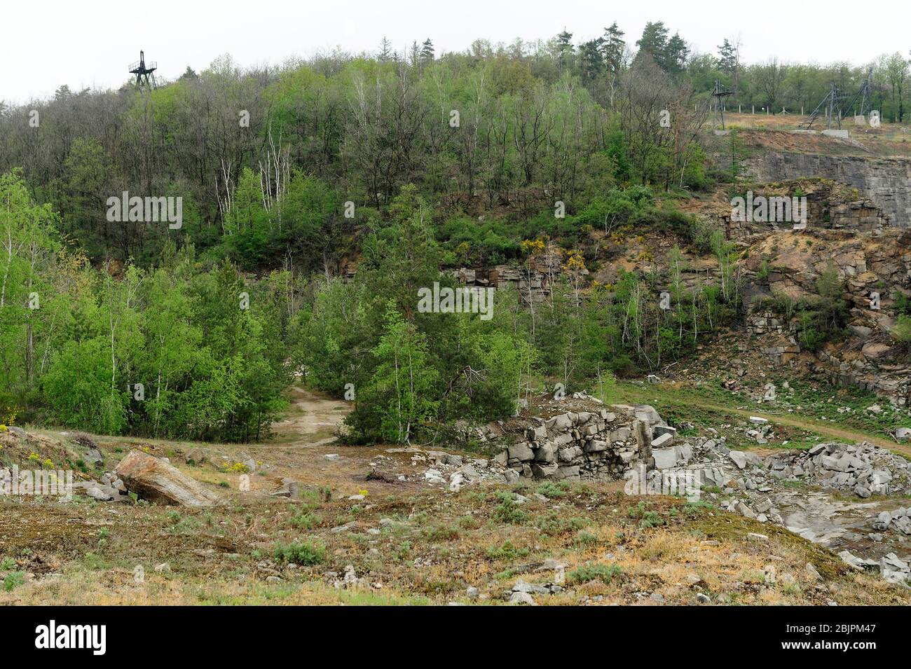 Camp de concentration nazi allemand, extermination en Pologne occupée, reliques d'un ancien camp de concentration allemand nazi, camp de concentration Hitler, camp d'extermination en Pologne occupée allemande, allemand, camp de concentration, mort allemande Gross-Rosen, dolnoslaskie, pologne, camp de concentration nazi, Gross-Rosen près de Strzegom, rogoznica, dolnoslaskie, pologne, europe, dolnoslaskie, pologne, europe, concentration nazie allemande, camp, historique, deux, guerre, photo Kazimierz Jurewicz, Banque D'Images