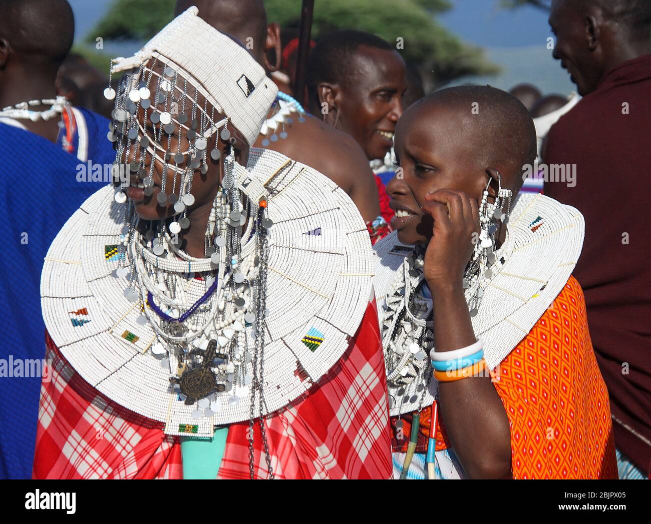 Les femmes de Maasai, avec leurs bijoux Maasai, portent une tenue de fête traditionnelle. Maasai est un groupe ethnique de personnes semi-nomades photographiées en Tanzanie Banque D'Images