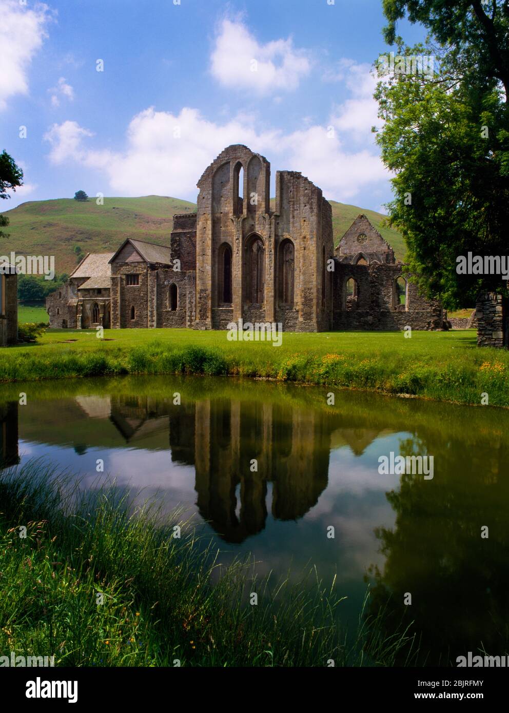 Abbaye de Valle Crucis, Llangollen, Pays de Galles, Royaume-Uni, regardant WSW au-dessus de l'étang à poissons de l'abbaye à l'extrémité E de l'église (presbytère) avec S transept & E gamme à L. Banque D'Images