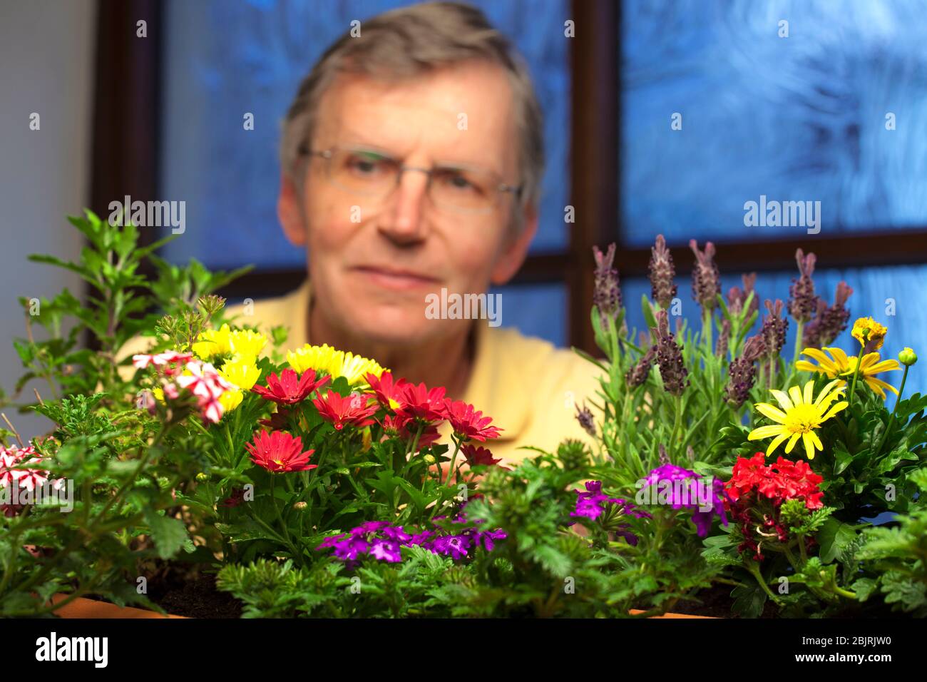 Jardinier souriant mûr regardant les fleurs dans les pots de plantes - se concentrer sur les fleurs en premier plan Banque D'Images